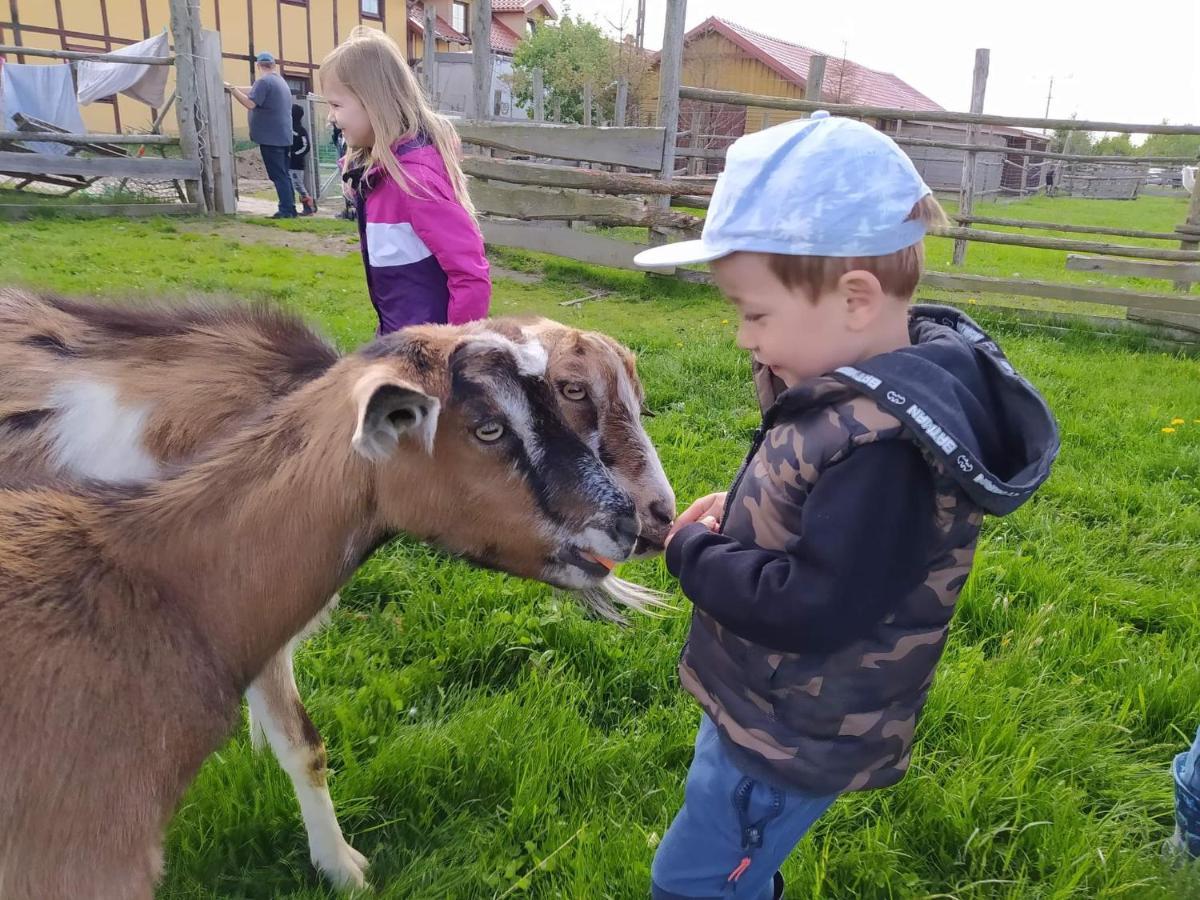 Pensjonat Przy Stajni Kierzkowo  المظهر الخارجي الصورة